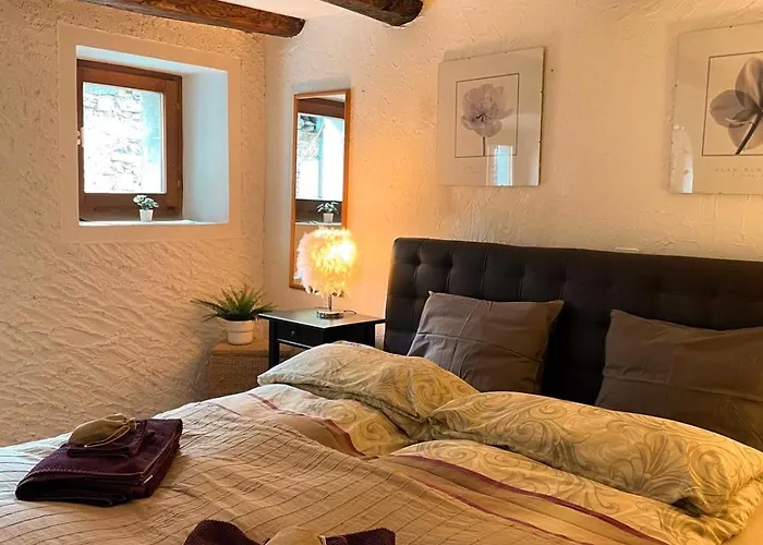 Residenza Valentino * לוקרנו